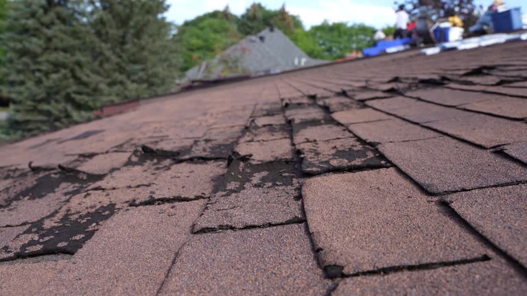 Best Roof Leak Repair  in USA